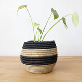 Planter Basket: Black Stripe, Large