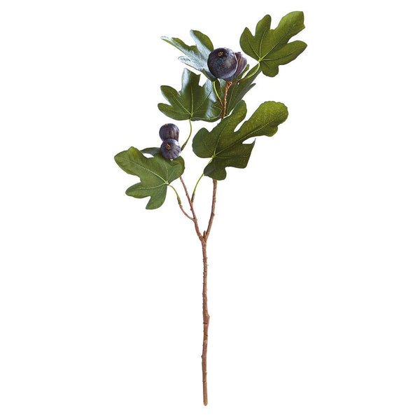 Faux Fig Stem | 21.5"