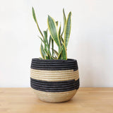 Planter Basket: Black Stripe, Small