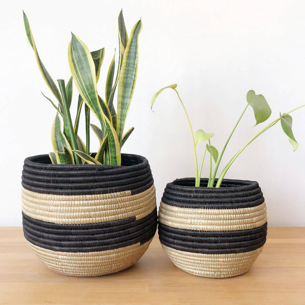 Planter Basket: Black Stripe, Large