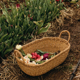 Harvest Oval Tray Baskets