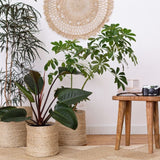 Tall Round Jute Storage Baskets Natural