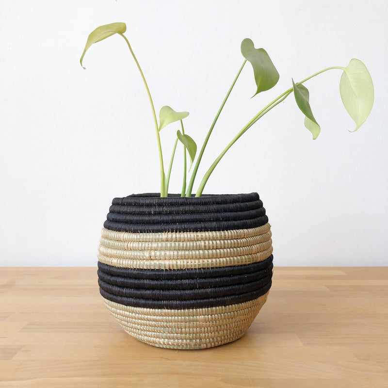 Planter Basket: Black Stripe, Small